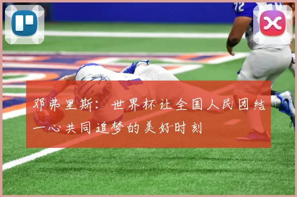 邓弗里斯：世界杯让全国人民团结一心共同追梦的美好时刻