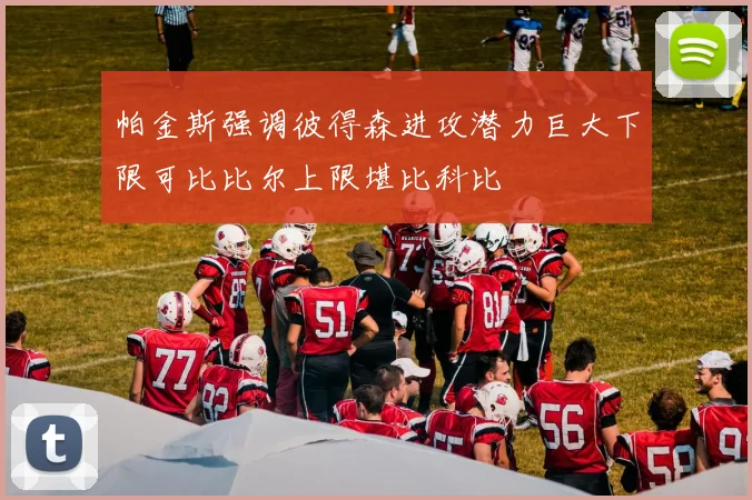帕金斯强调彼得森进攻潜力巨大下限可比比尔上限堪比科比