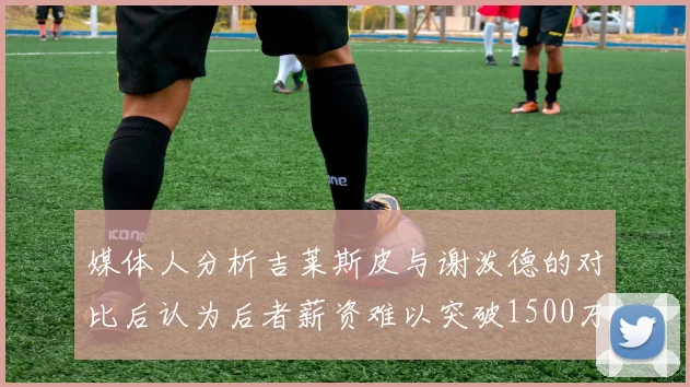 媒体人分析吉莱斯皮与谢泼德的对比后认为后者薪资难以突破1500万