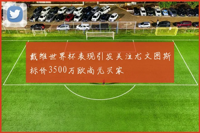 戴维世界杯表现引发关注尤文图斯标价3500万欧尚无买家